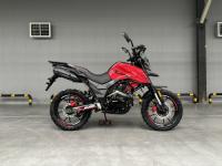 Regulmoto DUKE PRO