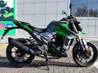 Regulmoto T-Leopard 300