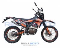 Regulmoto ZR PR 300 4 valves 6 Gear с ПТС