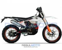 Regulmoto Crosstrec 300 с ПТС