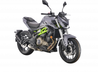 QJMOTOR SRK 400