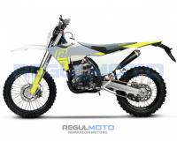 Regulmoto NIBBI N300-S (NB300) с ПТС