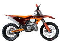 BSE TS 300R