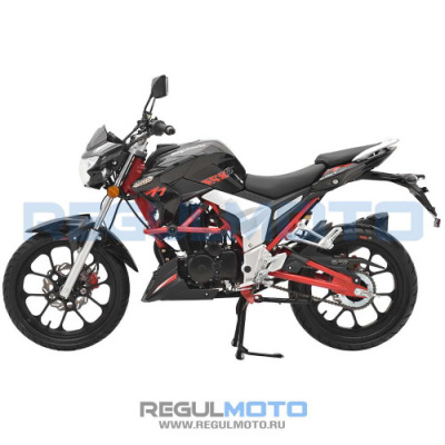 Regulmoto Raptor new