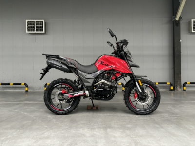 Regulmoto DUKE PRO