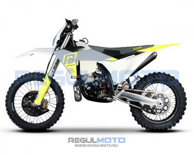 Regulmoto NIBBI TE N300-SR 2T