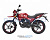 Regulmoto SK200-9 с ПТС