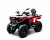 Bizon YK250 LUX EFI ПТС