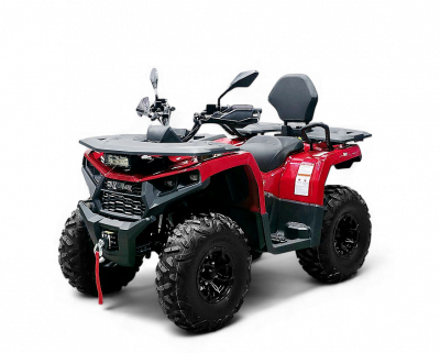 Bizon YK250 LUX EFI ПТС
