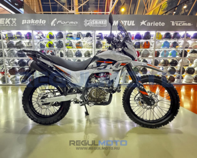 Regulmoto TE PRO NB300 с ПТС