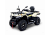  Электроквадроцикл Bizon YK450EL EPS